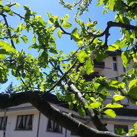 La Torretta فندق 4*