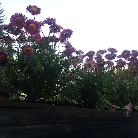 La Torretta فندق 4*