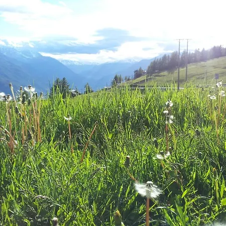 Hotel La Torretta 4*