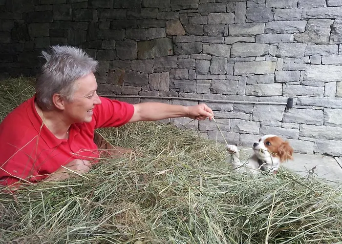 Szálloda La Torretta 4*