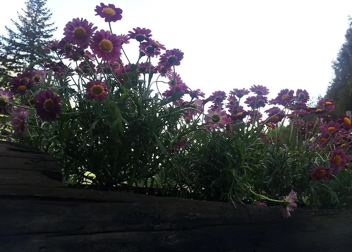 La Torretta Szálloda 4*