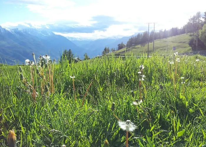 Hotel La Torretta 4*